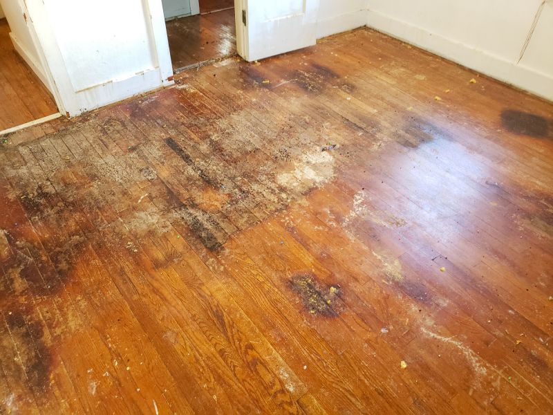 Subfloor Repair Cost Guide — Cost of Subfloor Repair Service